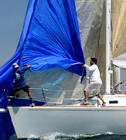 Scott Birnberg's Indigo crew from Long Beach executes a smooth spinnaker takedown on way to first place in the J/120 class.